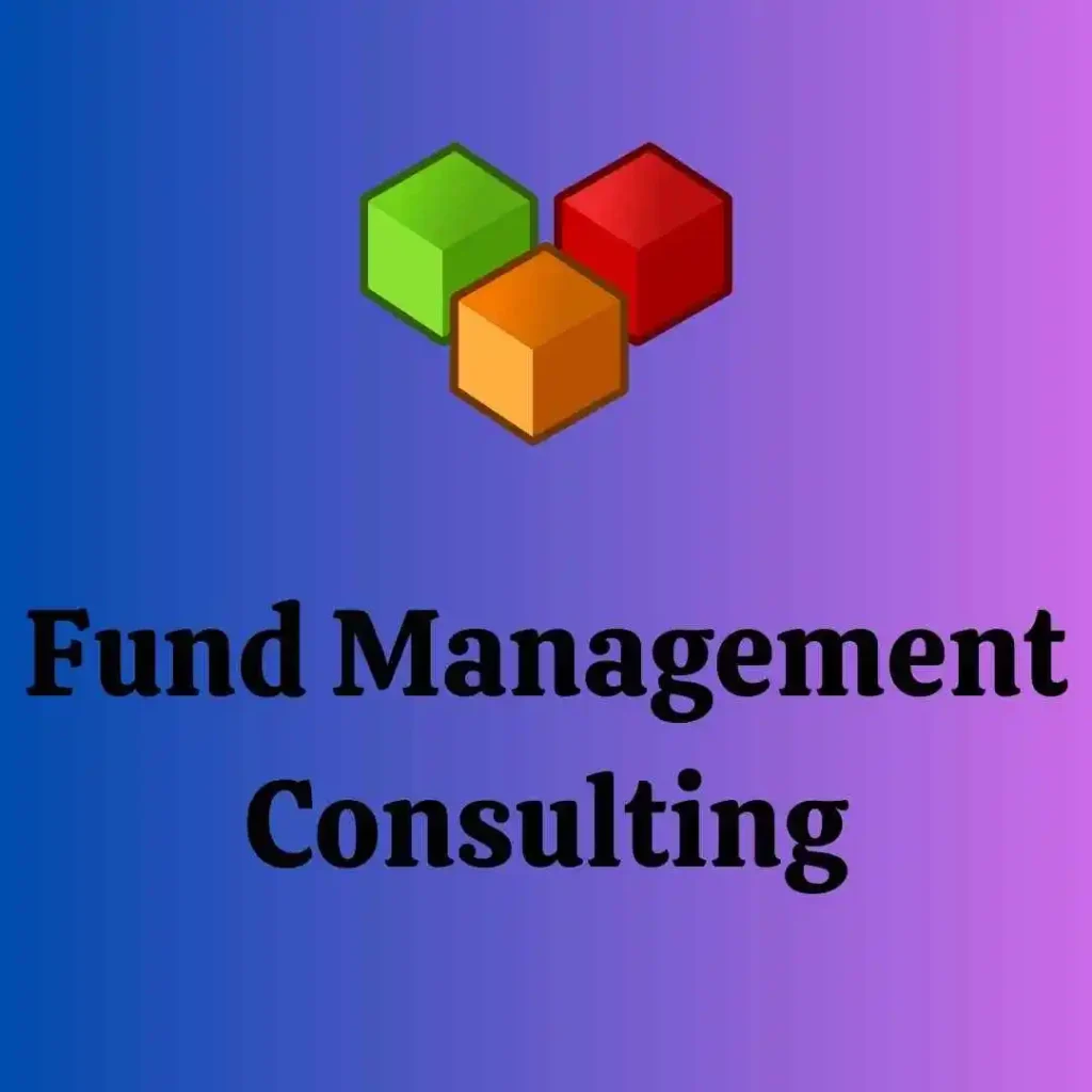 Fund Management Consulting
